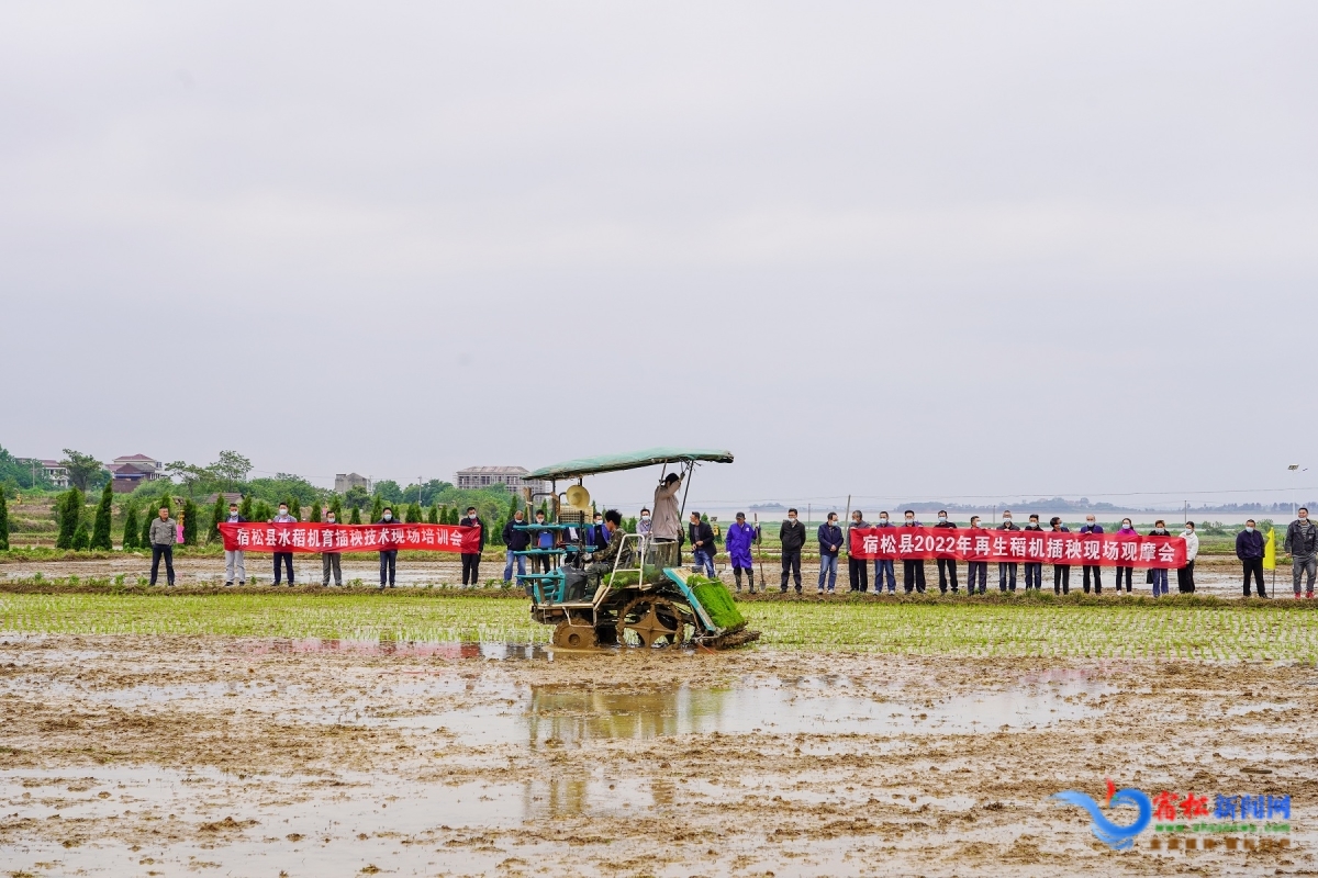 觀摩插秧機插秧.jpg 觀摩插秧機插秧.jpg