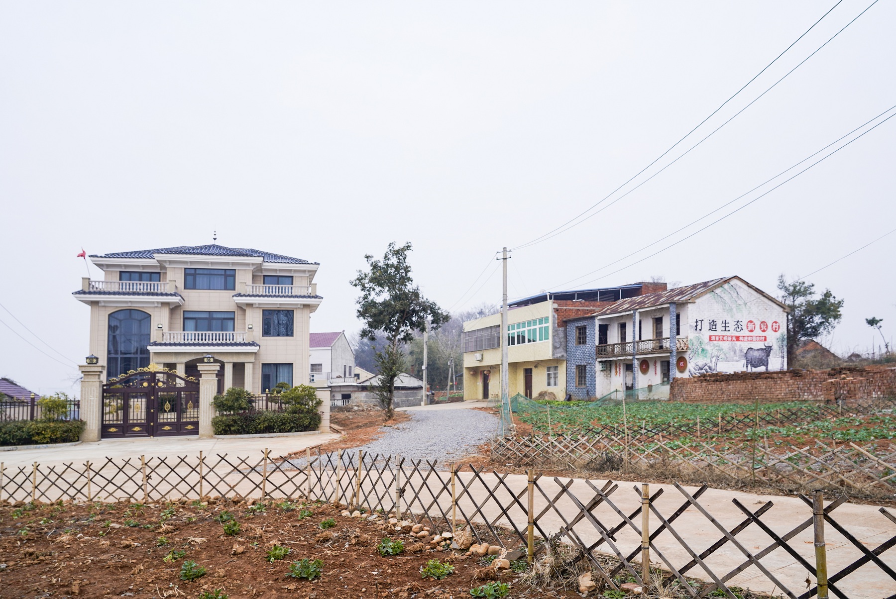 馬山村劉屋組美麗的農家庭院.jpg